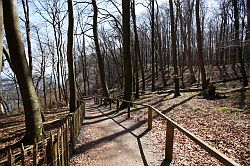 Jasmund National Park (Rügen)